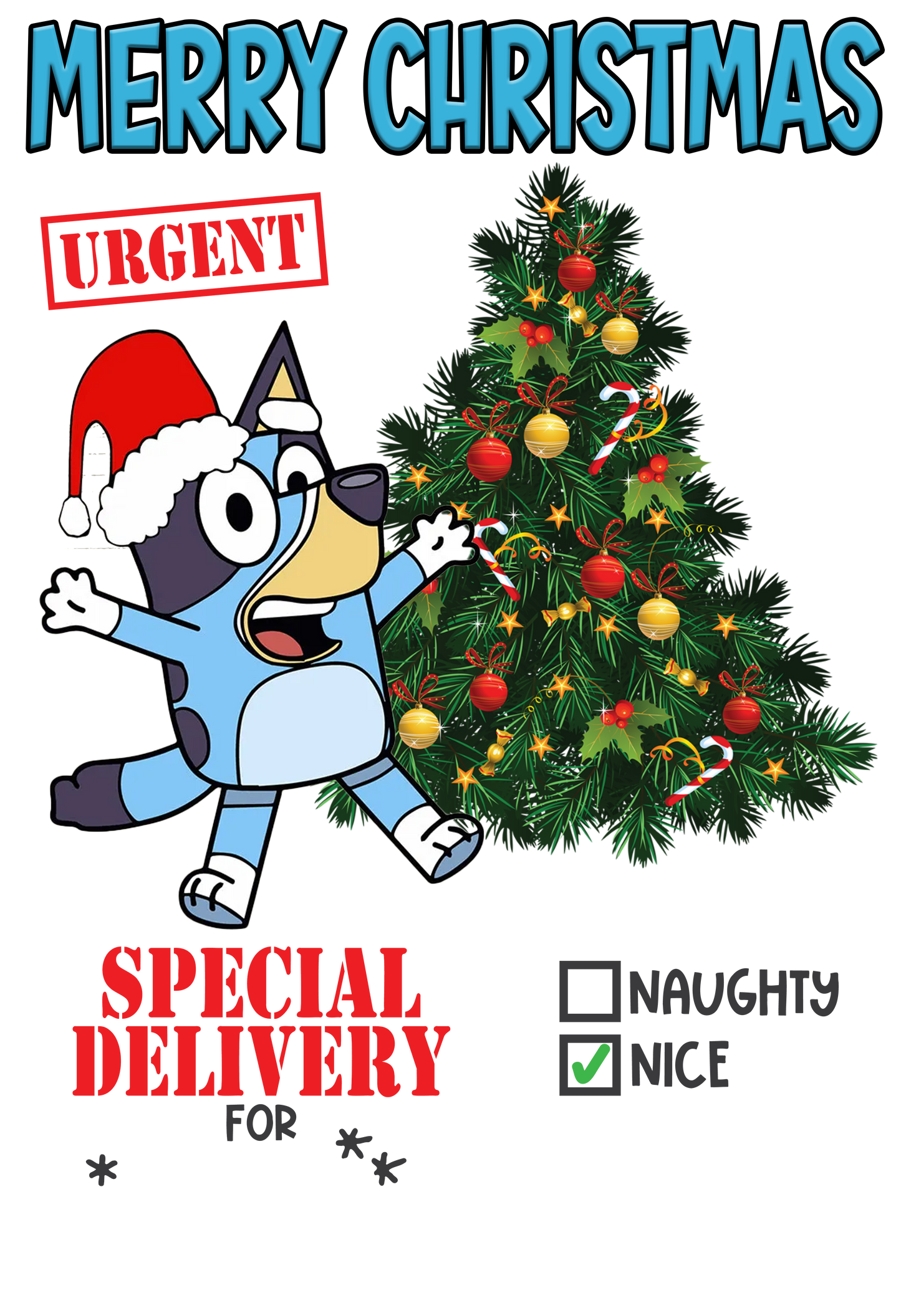 Personalized Santa Sack